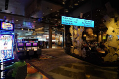 Las_Vegas_2023-762