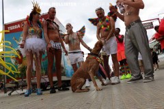 Benidorm_Pride_2019-3427