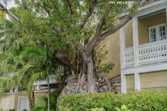 Key_West_2022-38