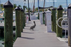 Key_West_2022-49