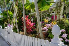 Key_West_2022-83