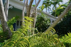 Key_West_2022-87