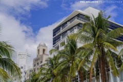 Miami_Daylight_2022-104