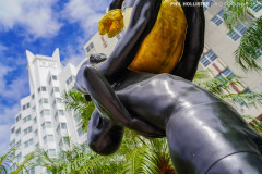 Miami_Daylight_2022-109