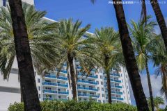 Miami_Daylight_2022-11