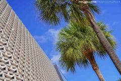 Miami_Daylight_2022-181