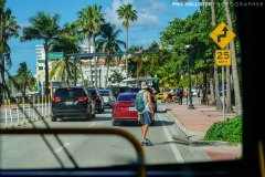 Miami_Daylight_2022-188