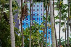 Miami_Daylight_2022-42