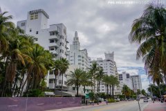Miami_Daylight_2022-30