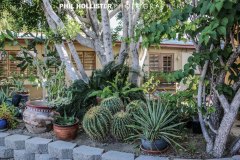Palm_Springs_Resorts_2017-5255