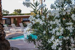 Palm_Springs_Resorts_2017-5286