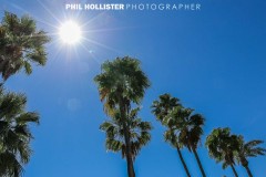 Palm_Springs_Resorts_2017-5625