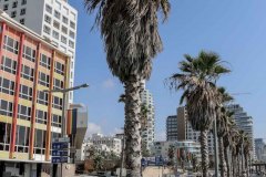 Tel_Aviv_2019-7480