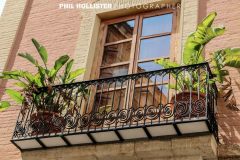 Valencia_byPhilHollister-2895