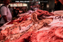 Valencia_byPhilHollister-2907