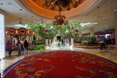 Las_Vegas_2023-471